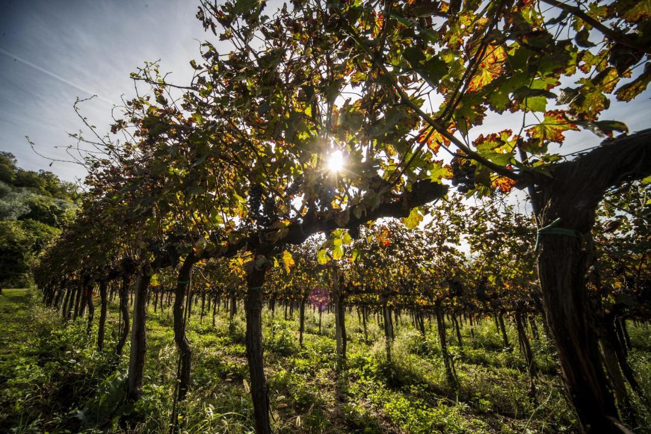 Le Volpi Alloggio per agriturismo